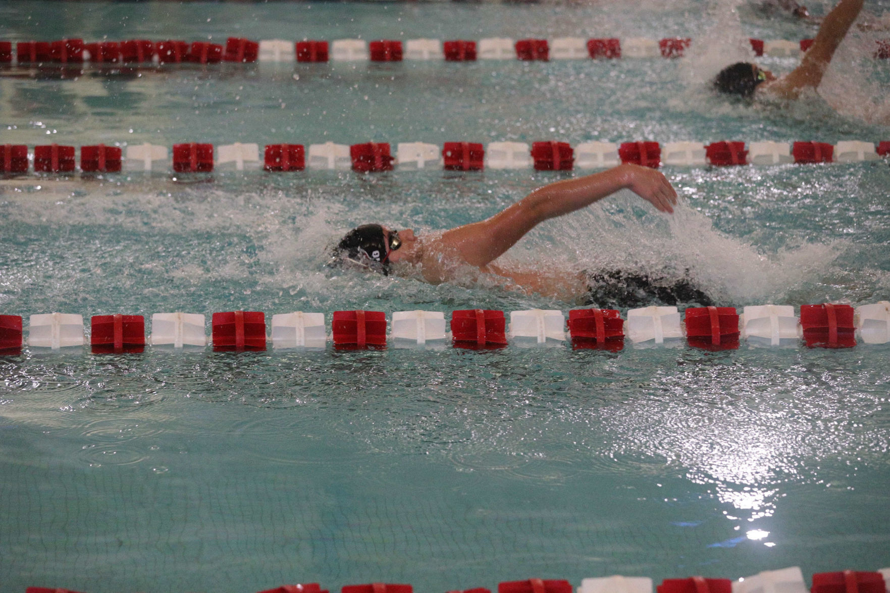 Cedar Creek swim